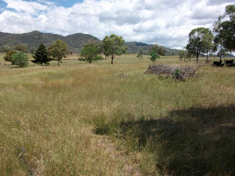 26 Avoca Rd, Tamworth NSW 2340