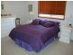 23 The Mews, Tamworth NSW 2340