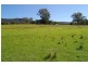 1324 Duncans Creek Rd, Tamworth NSW 2340