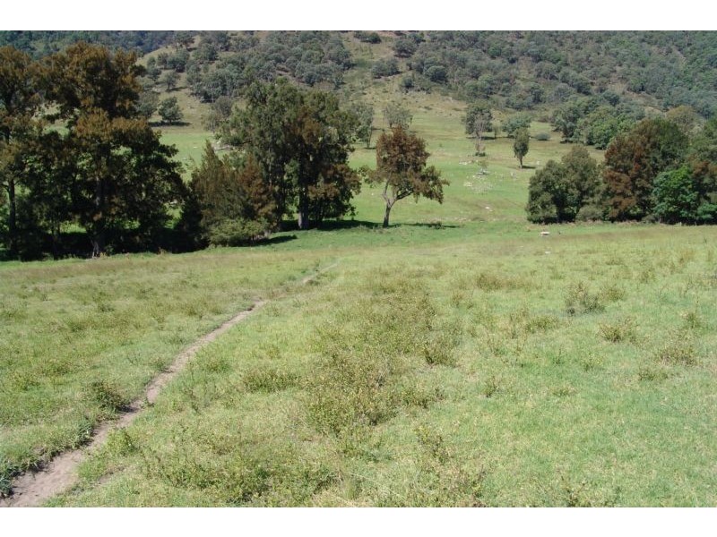 1324 Duncans Creek Rd, Tamworth NSW 2340