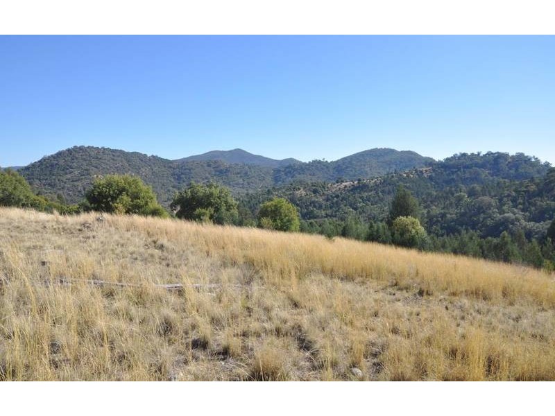 Currabubula NSW 2342