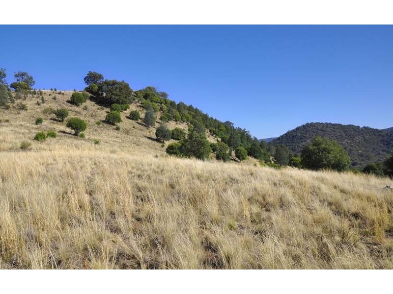 Currabubula NSW 2342