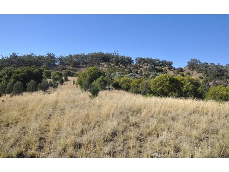 Currabubula NSW 2342