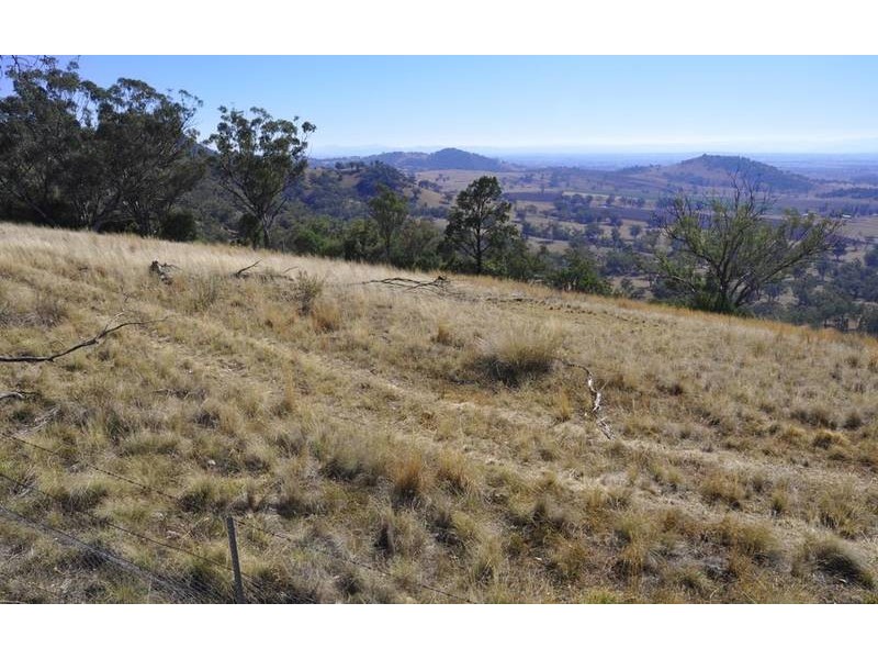 Currabubula NSW 2342