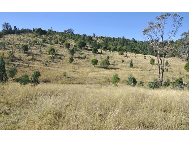 Currabubula NSW 2342