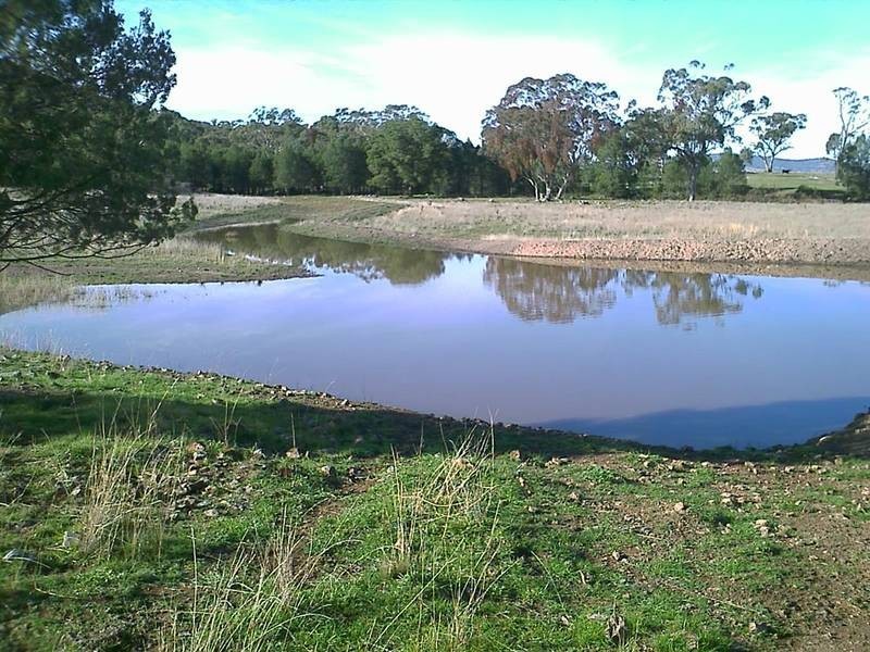 Currabubula NSW 2342