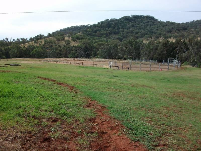 Tamworth NSW 2340