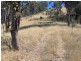 265 Echo Hills Rd, Dungowan NSW 2340