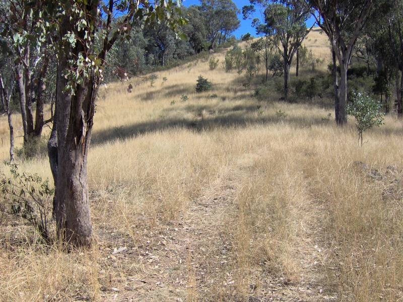 265 Echo Hills Rd, Dungowan NSW 2340