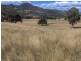 265 Echo Hills Rd, Dungowan NSW 2340