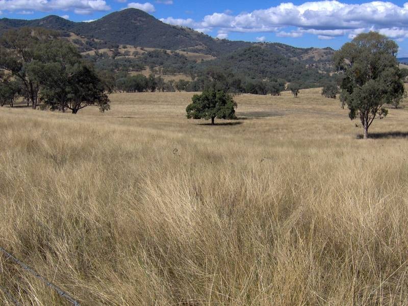 265 Echo Hills Rd, Dungowan NSW 2340