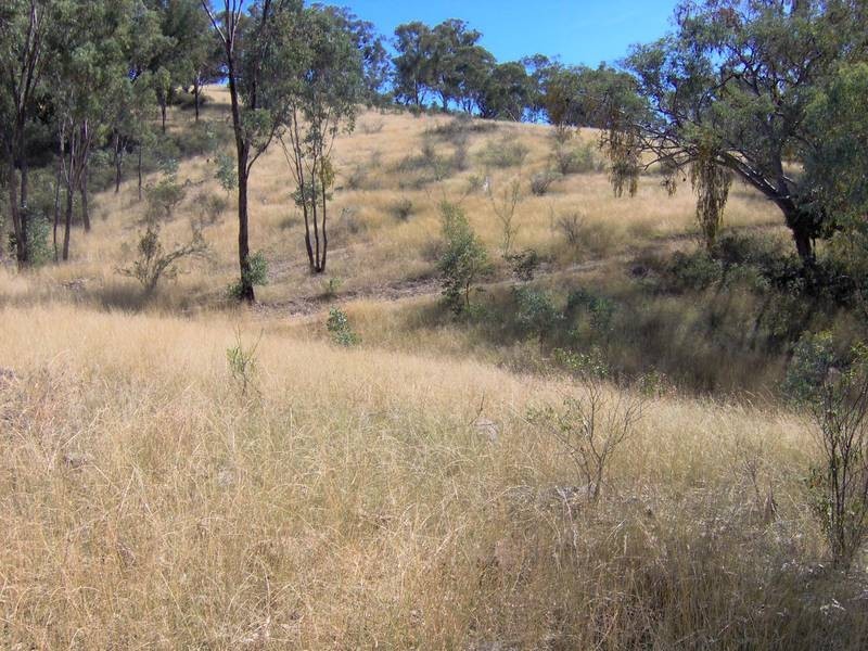265 Echo Hills Rd, Dungowan NSW 2340