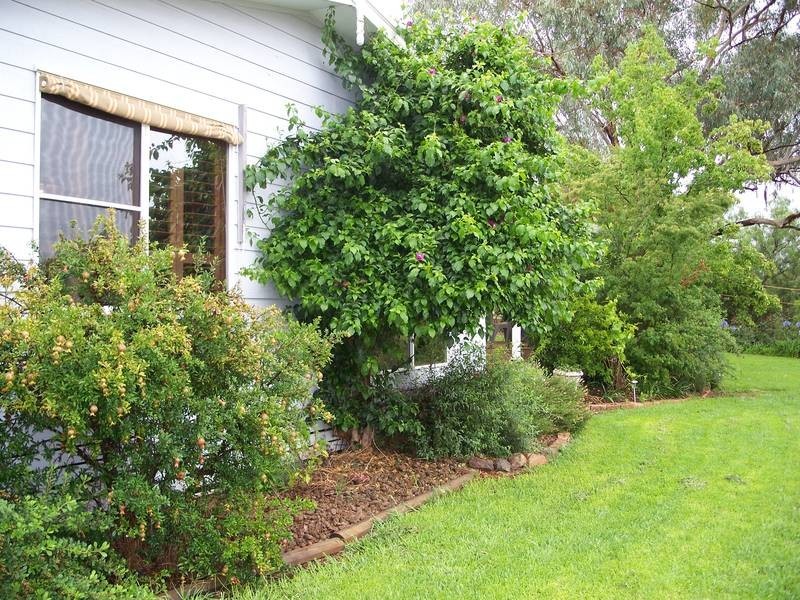 67 Rupari Drive, Nemingha NSW 2340
