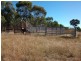Tamworth NSW 2340