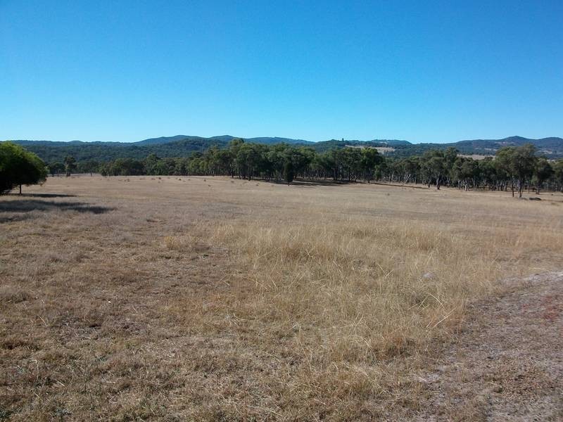 Tamworth NSW 2340