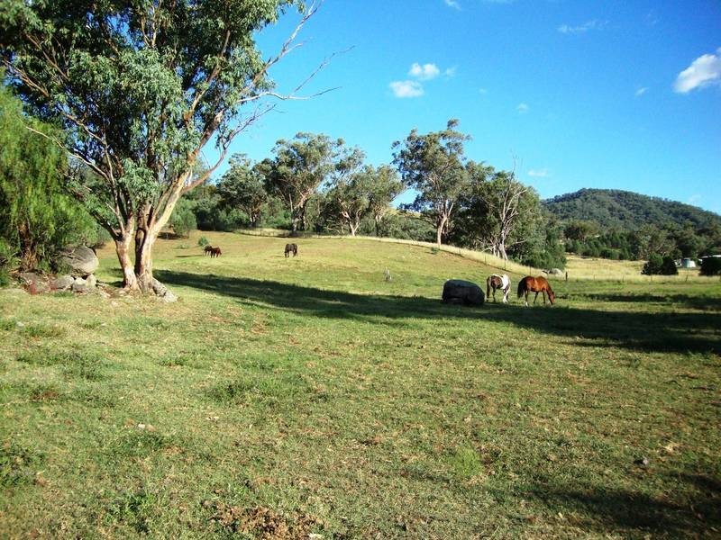 309 Ormans Lane, Kootingal NSW 2352
