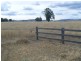 Werris Creek NSW 2341
