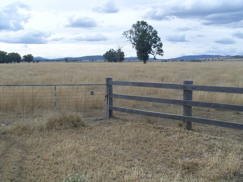 Werris Creek NSW 2341