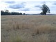 Werris Creek NSW 2341