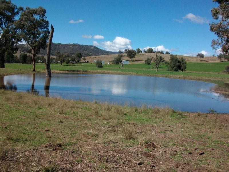 Top Block, Back Woolomin Road, Dungowan NSW 2340