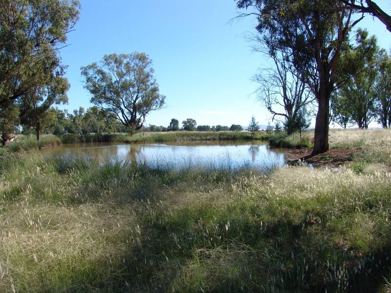 Tamworth NSW 2340