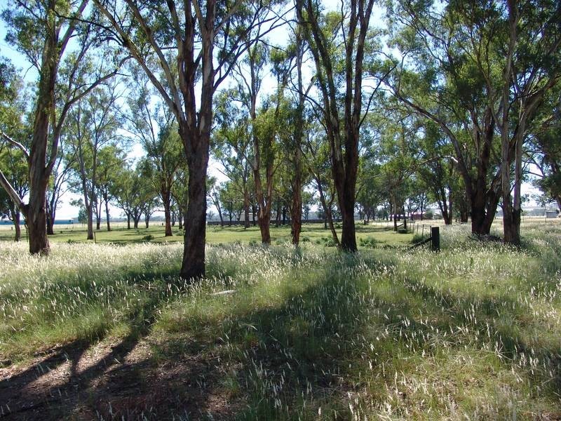 Tamworth NSW 2340