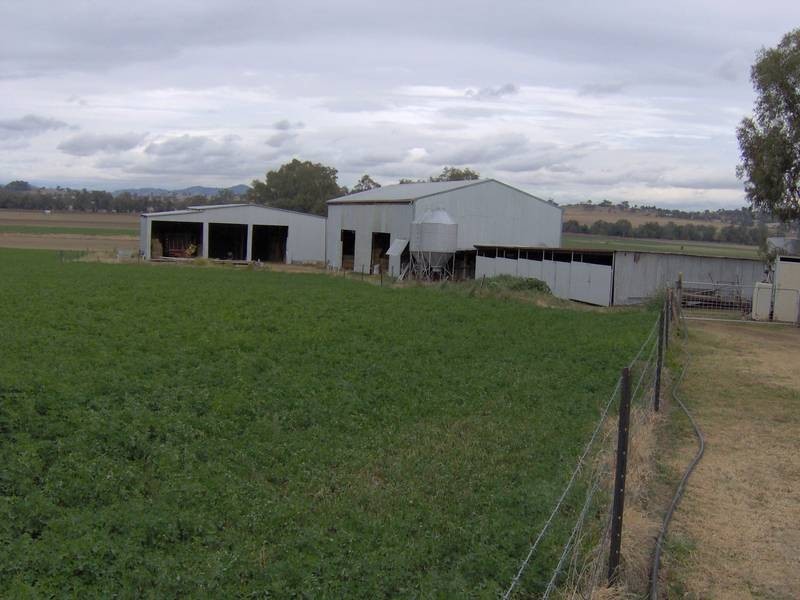896 Dungowan Rd, Dungowan NSW 2340