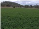 896 Dungowan Rd, Dungowan NSW 2340