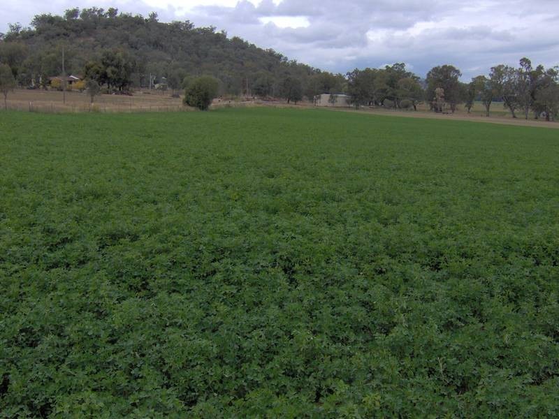 896 Dungowan Rd, Dungowan NSW 2340