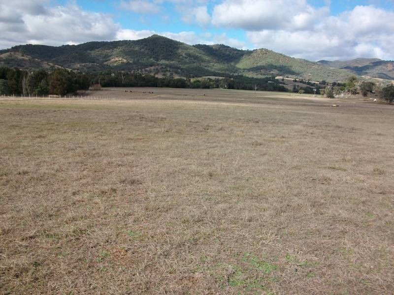 Tamworth NSW 2340