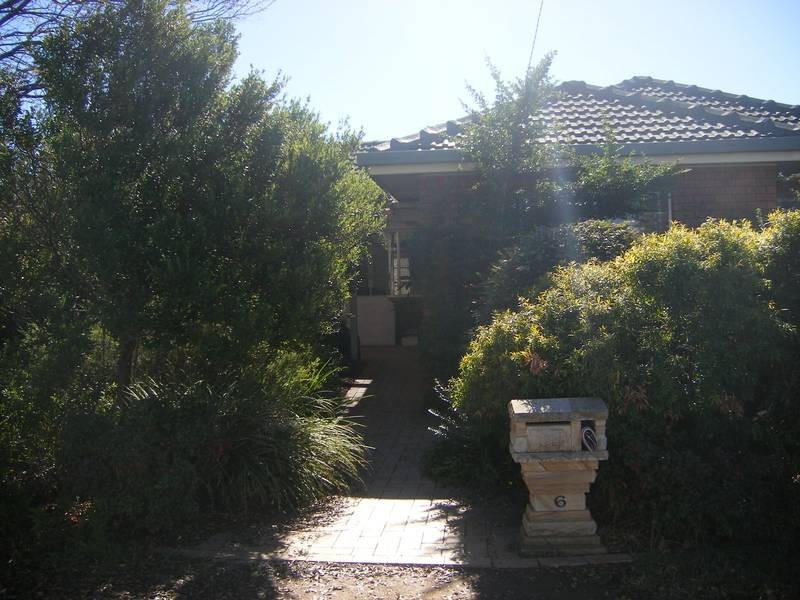 6 Bell Street, Tamworth NSW 2340
