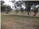 105 Martins Lane, Tamworth NSW 2340