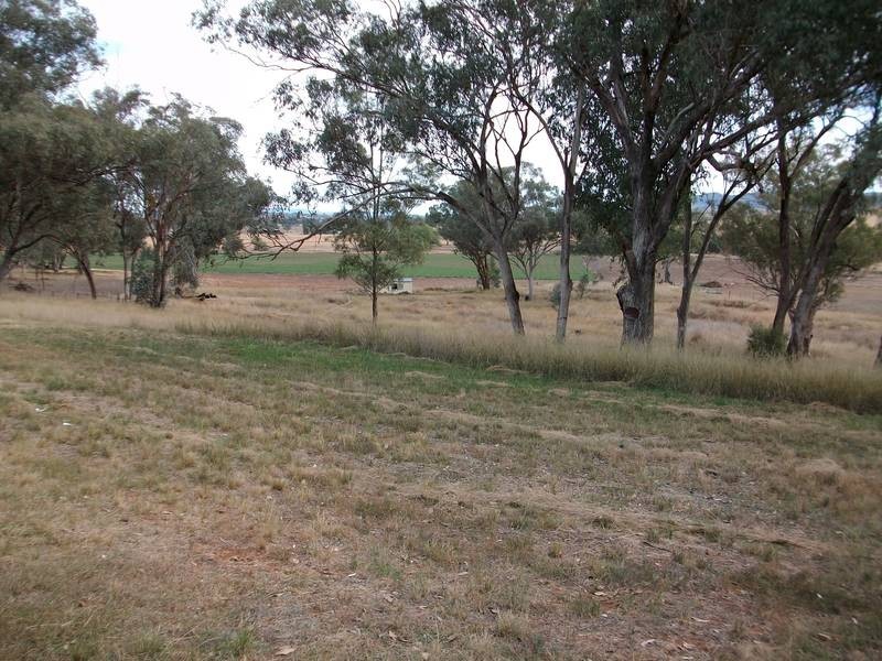 105 Martins Lane, Tamworth NSW 2340