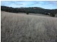 Woolbrook NSW 2354