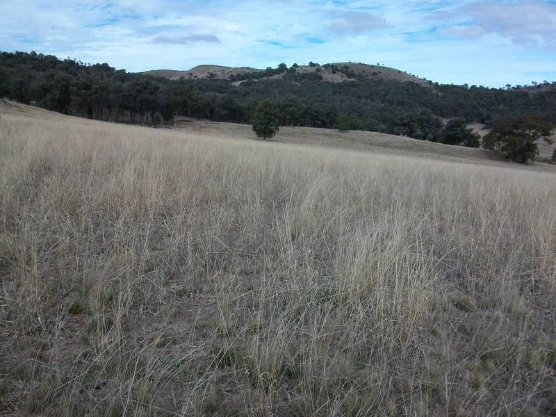 Woolbrook NSW 2354