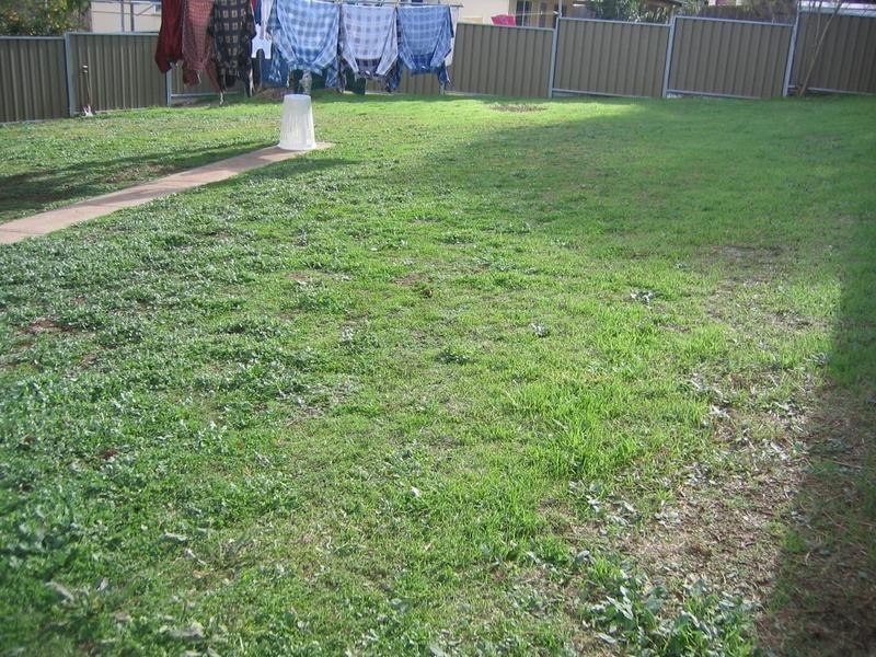 31 Drummond Road, Tamworth NSW 2340