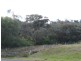 Tamworth NSW 2340
