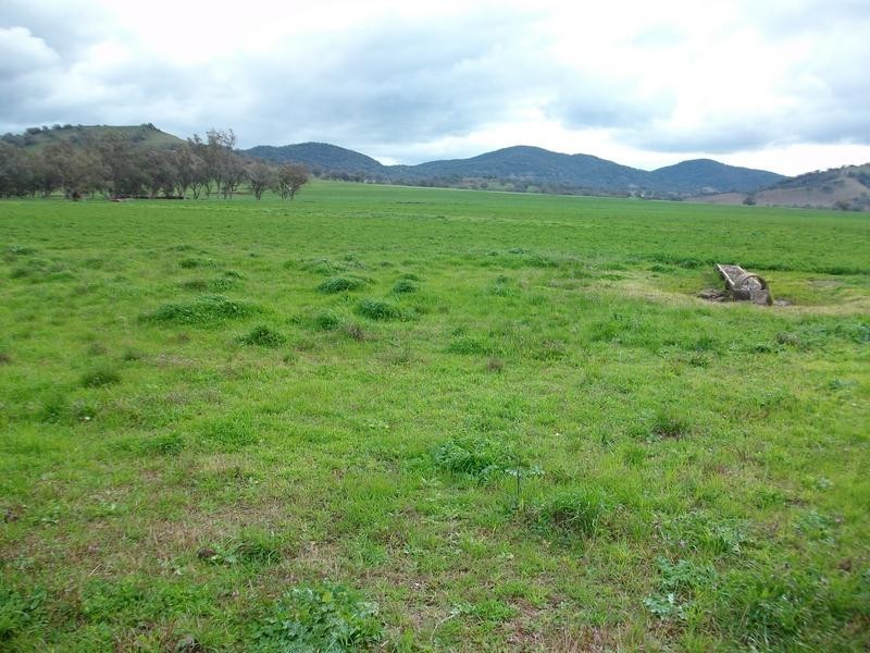 Duri NSW 2344