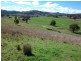 Back Woolomin Road, Dungowan NSW 2340