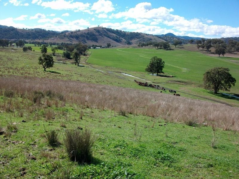 Back Woolomin Road, Dungowan NSW 2340