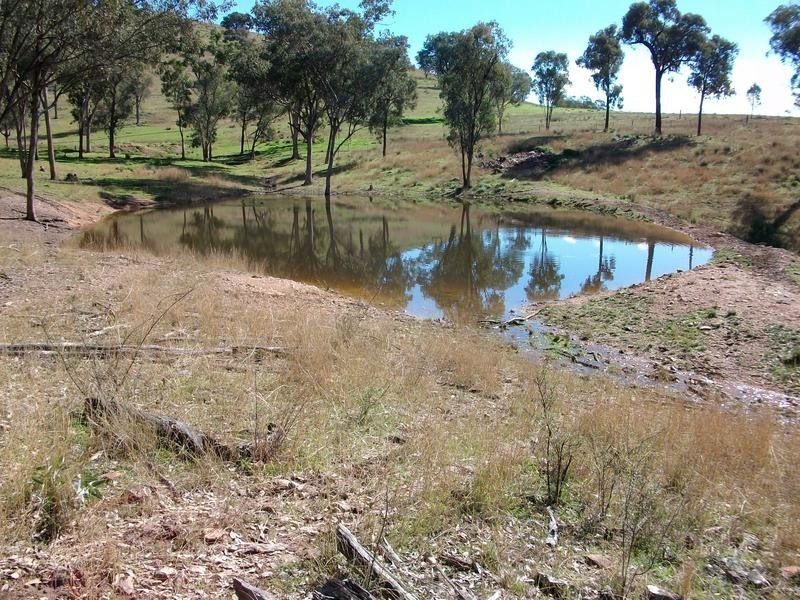 Back Woolomin Road, Dungowan NSW 2340