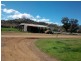 Back Woolomin Road, Dungowan NSW 2340