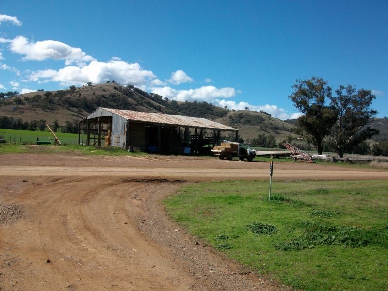 Back Woolomin Road, Dungowan NSW 2340