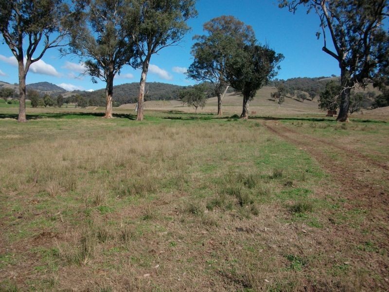 Back Woolomin Road, Dungowan NSW 2340