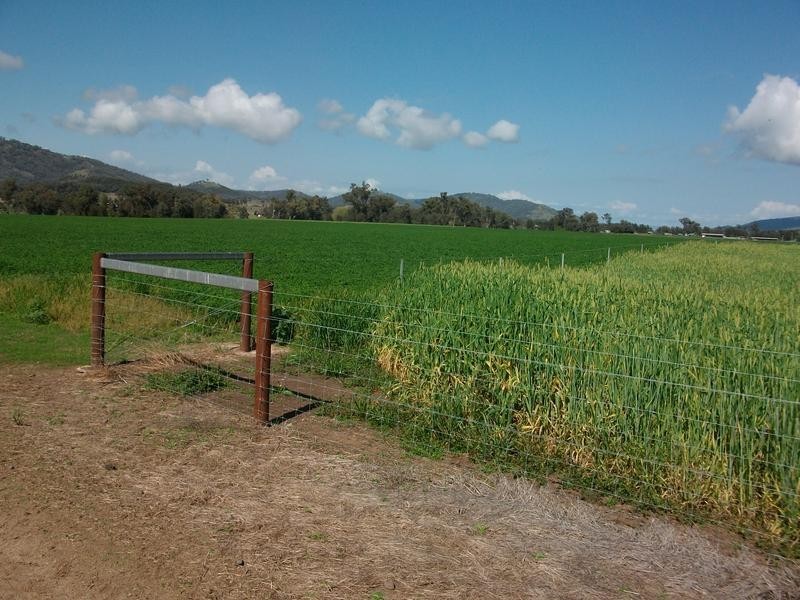 Tamworth NSW 2340