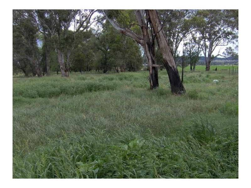 Tamworth NSW 2340
