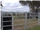 307 Whitehouse Lane, Tamworth NSW 2340