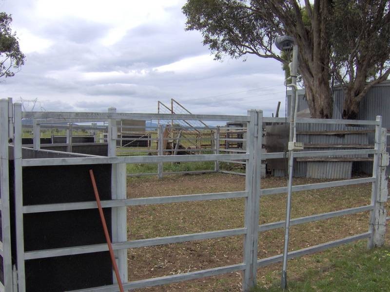 307 Whitehouse Lane, Tamworth NSW 2340