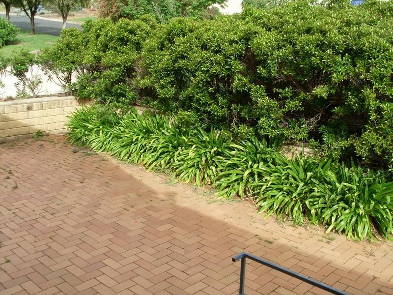 8 Yarral Avenue, Tamworth NSW 2340