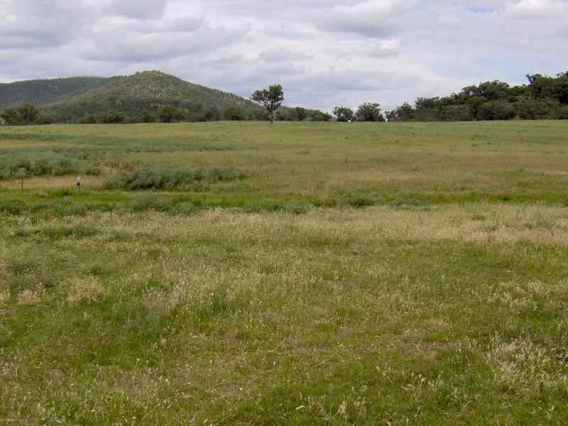 Tamworth NSW 2340